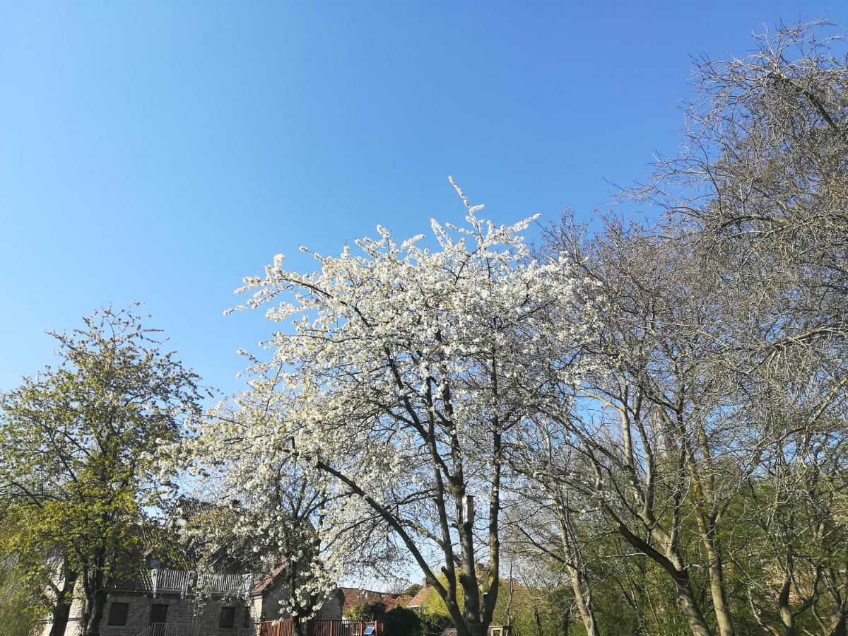 B&B De Dubbelmolen Tongeren Exteriör bild
