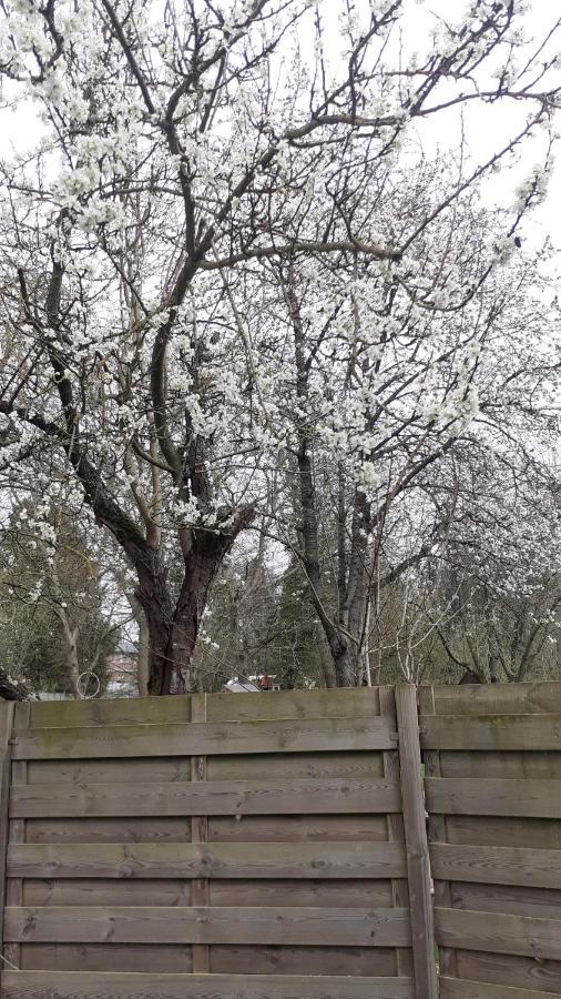 B&B De Dubbelmolen Tongeren Exteriör bild