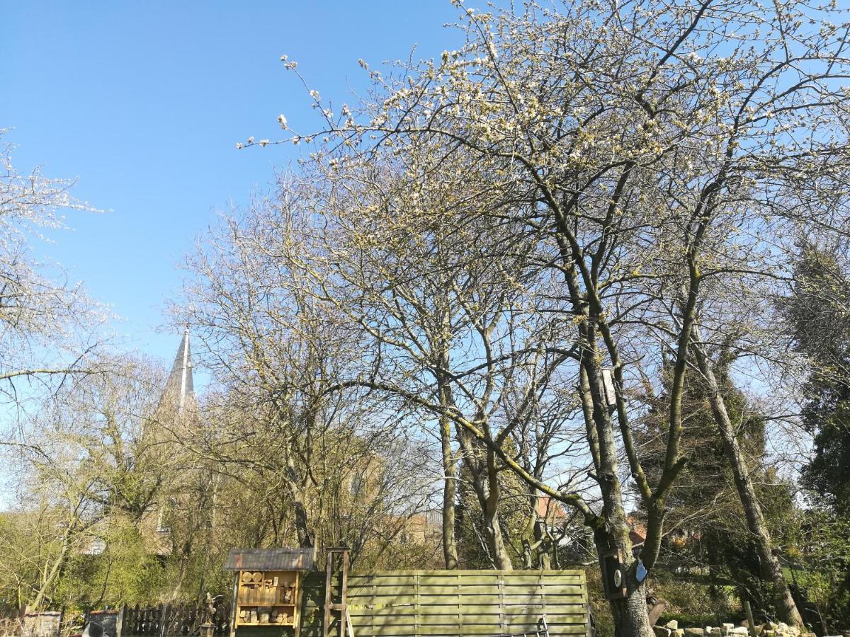 B&B De Dubbelmolen Tongeren Exteriör bild