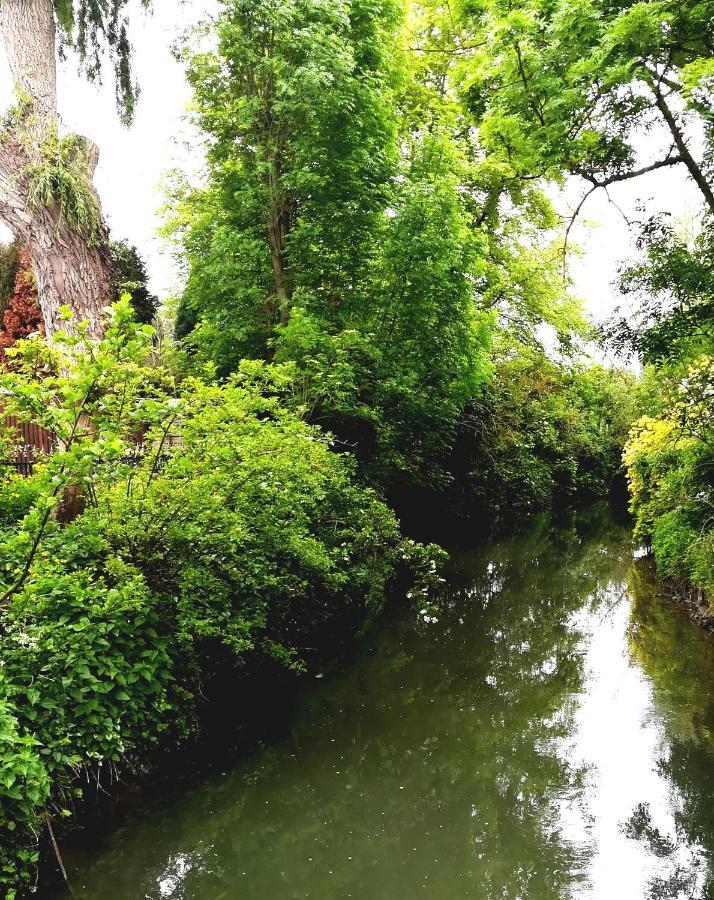 B&B De Dubbelmolen Tongeren Exteriör bild