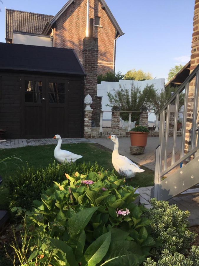 B&B De Dubbelmolen Tongeren Exteriör bild